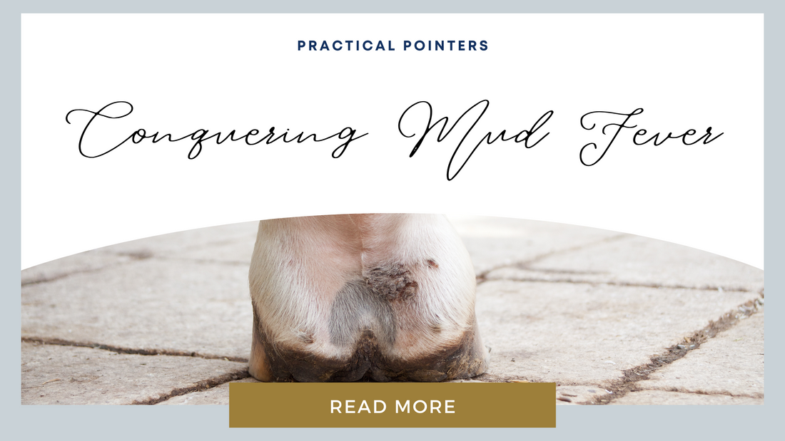 Practical Pointers: Conquering Mud Fever