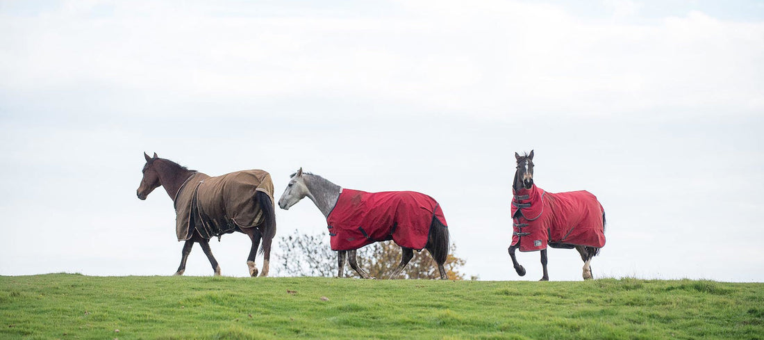 A Guide to Wet Weather, Mud & Yard Survival