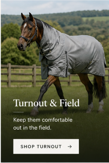 Turnout & Field