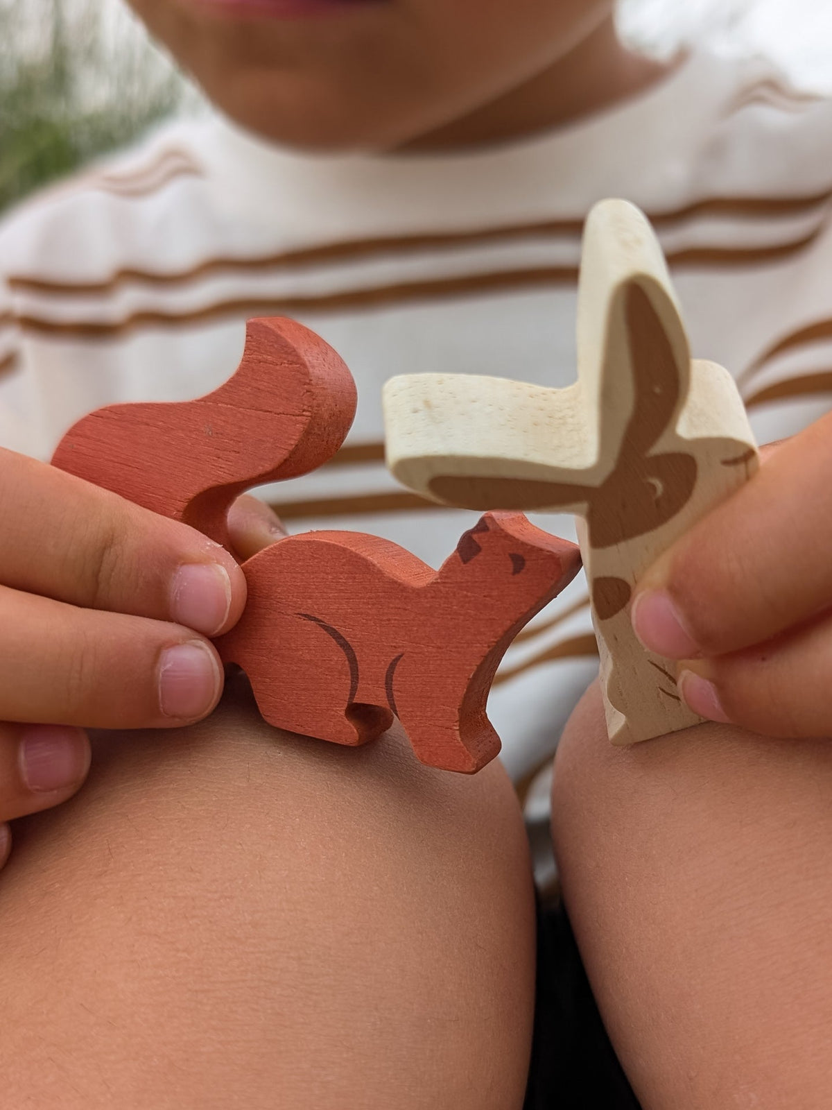 Wildlife Camping Playset