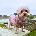 Pink Argyle Dog Jumper In Merino Lambswool