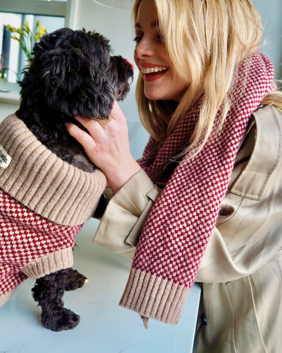 Burgundy Merino Lambswool Dog Jumper