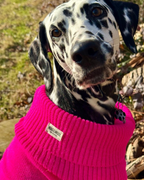 Extra Large British Wool Dog Jumper