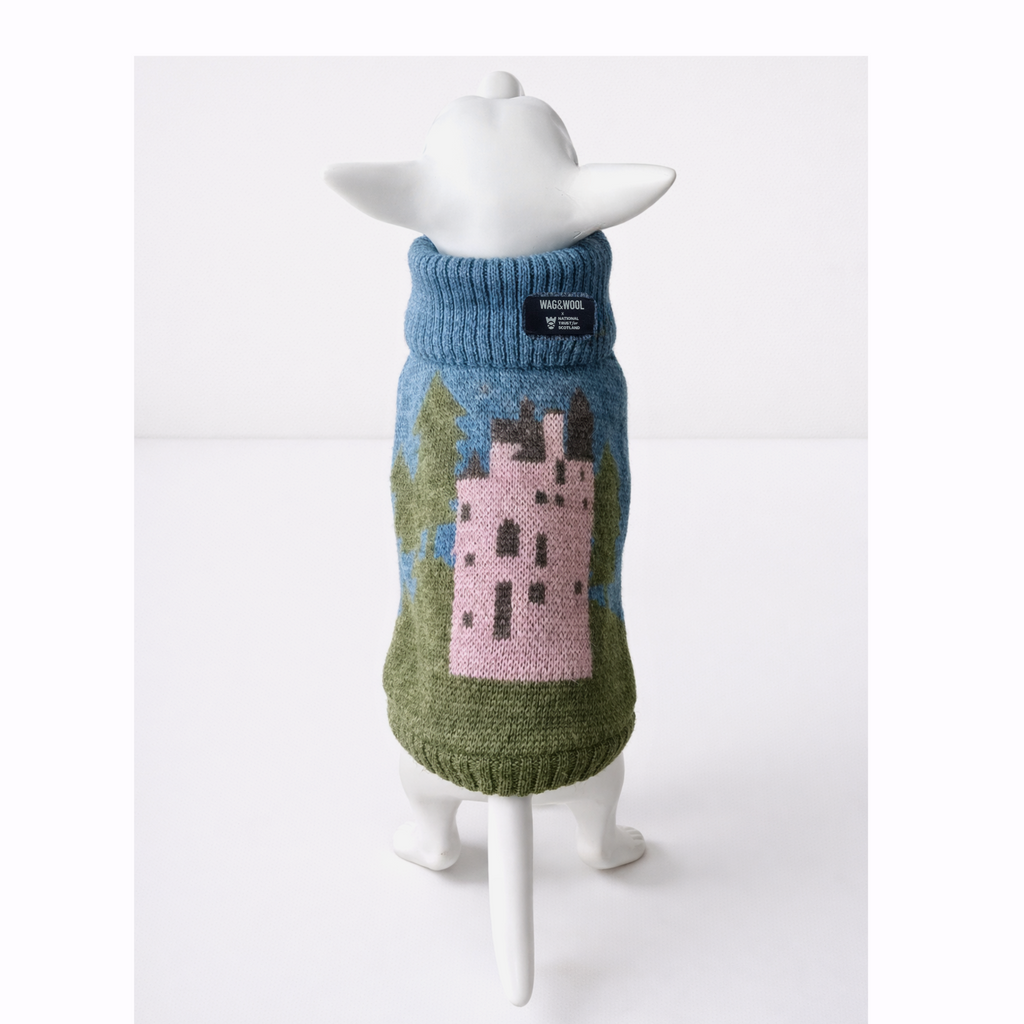 Pink Castle Dog Jumper in British Wool