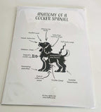 Anatomy of a Cocker Spaniel Print