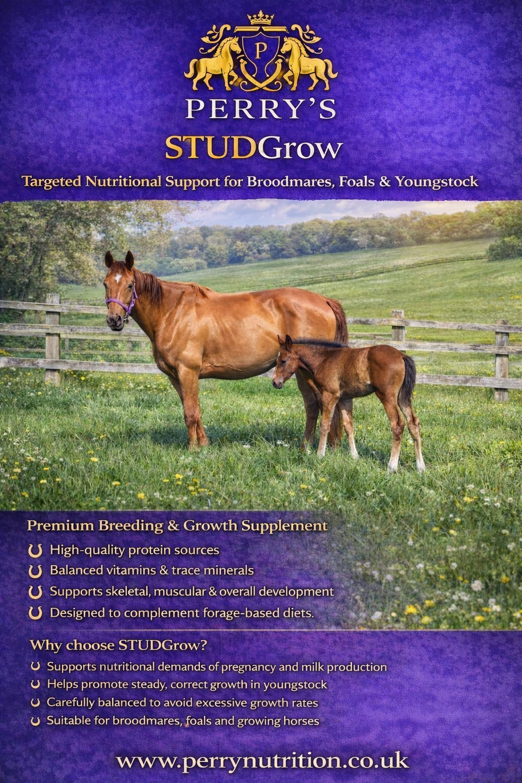 STUDGrow™ Advanced Breeding & Youngstock Support 15kgs