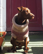 Burgundy Merino Lambswool Dog Jumper