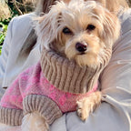 Pink Argyle Dog Jumper In Merino Lambswool
