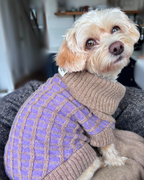 Purple Dog Jumper in Pure Merino Lambswool