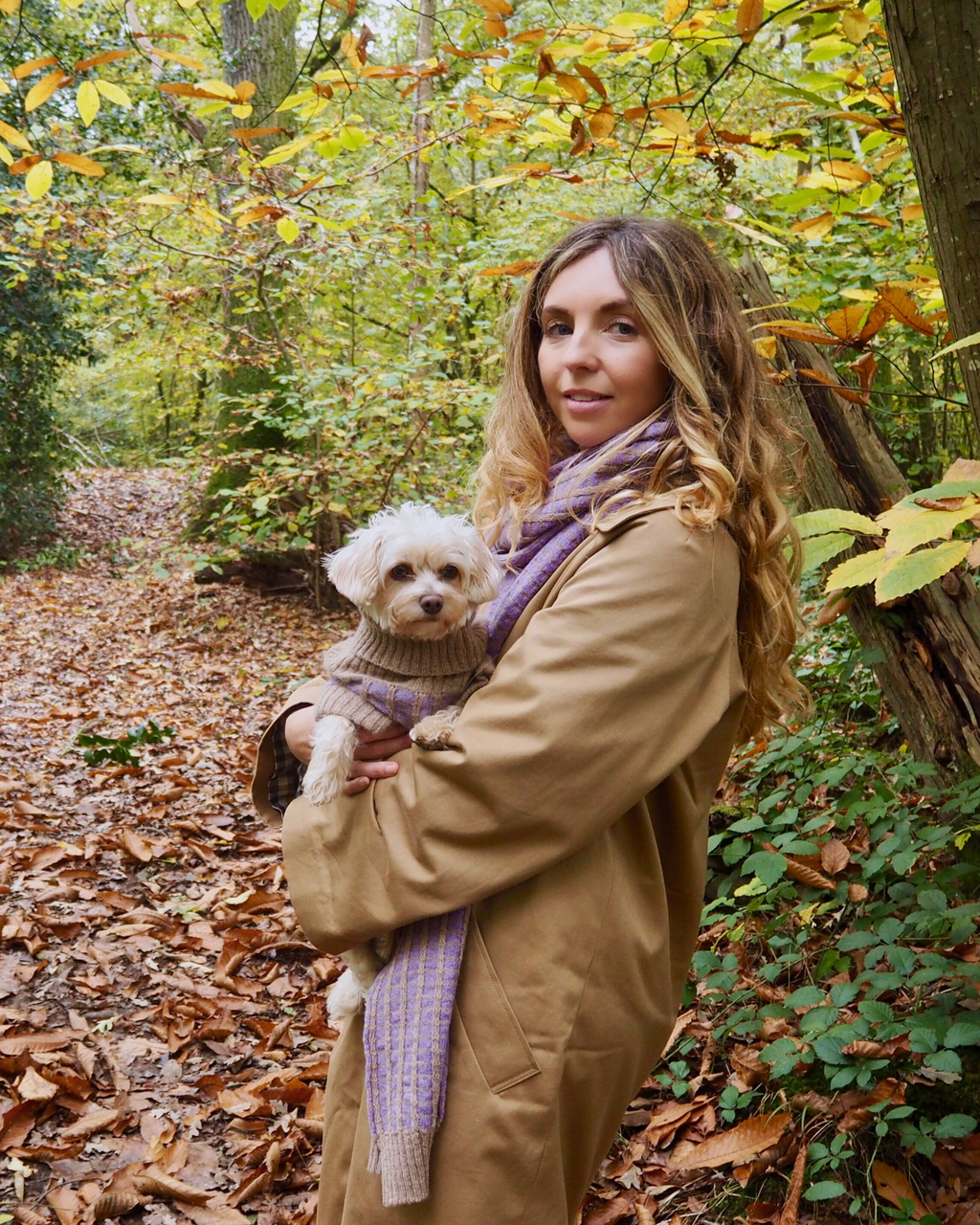 Purple Dog Jumper in Pure Merino Lambswool