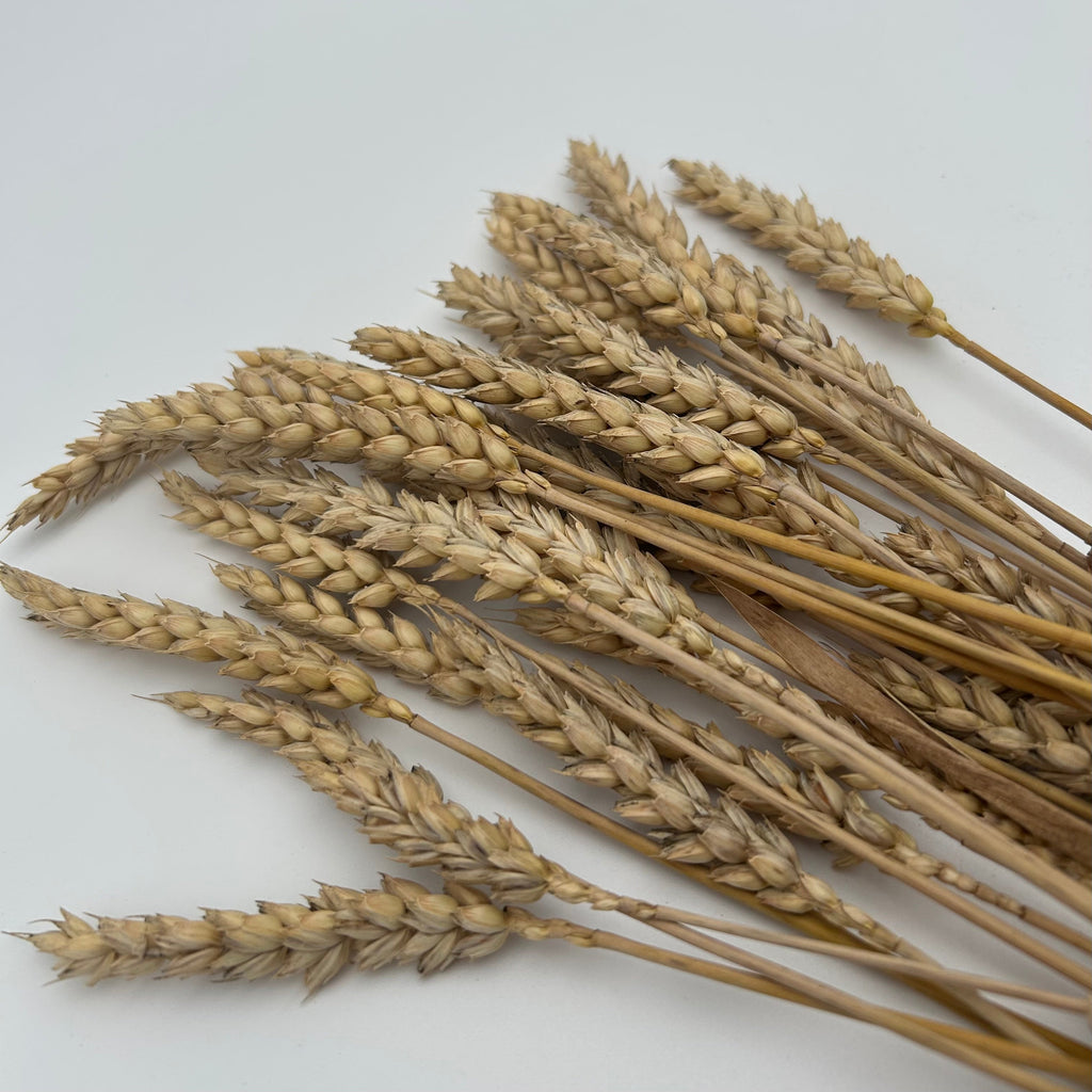 Wheat Sprays
