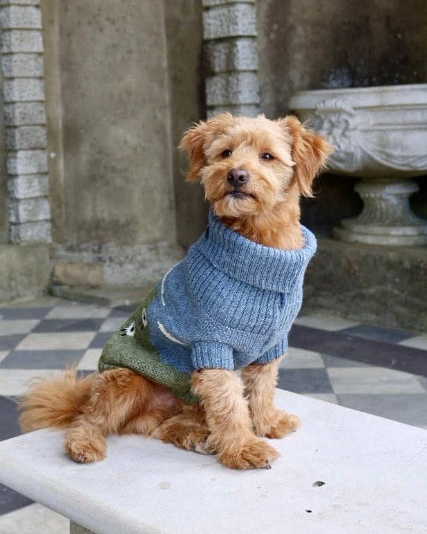 Blackface Sheep Dog Jumper in British Wool