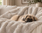 Luxury Black Frost Faux Fur Dog Blanket | Reversible with Soft Suede Backing