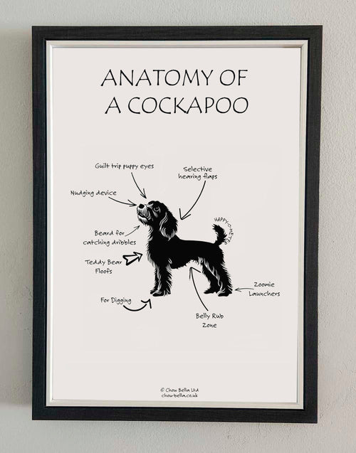 Anatomy of a Cockapoo Print