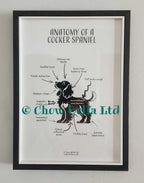 Anatomy of a Cocker Spaniel Print