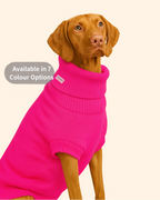 Extra Large British Wool Dog Jumper