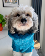 Cerulean Blue British Wool Dog Jumper