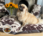 Luxury Faux Cowhide Dog Daybed with Removable Cover – Handmade in Devon