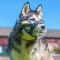 Baskerville Invisa Basket Muzzle