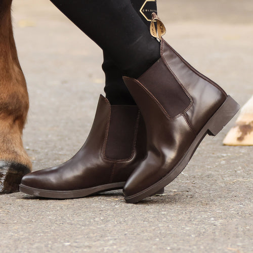 Brogini Jbc Pavia Piccino Jodhpur Boots Brown