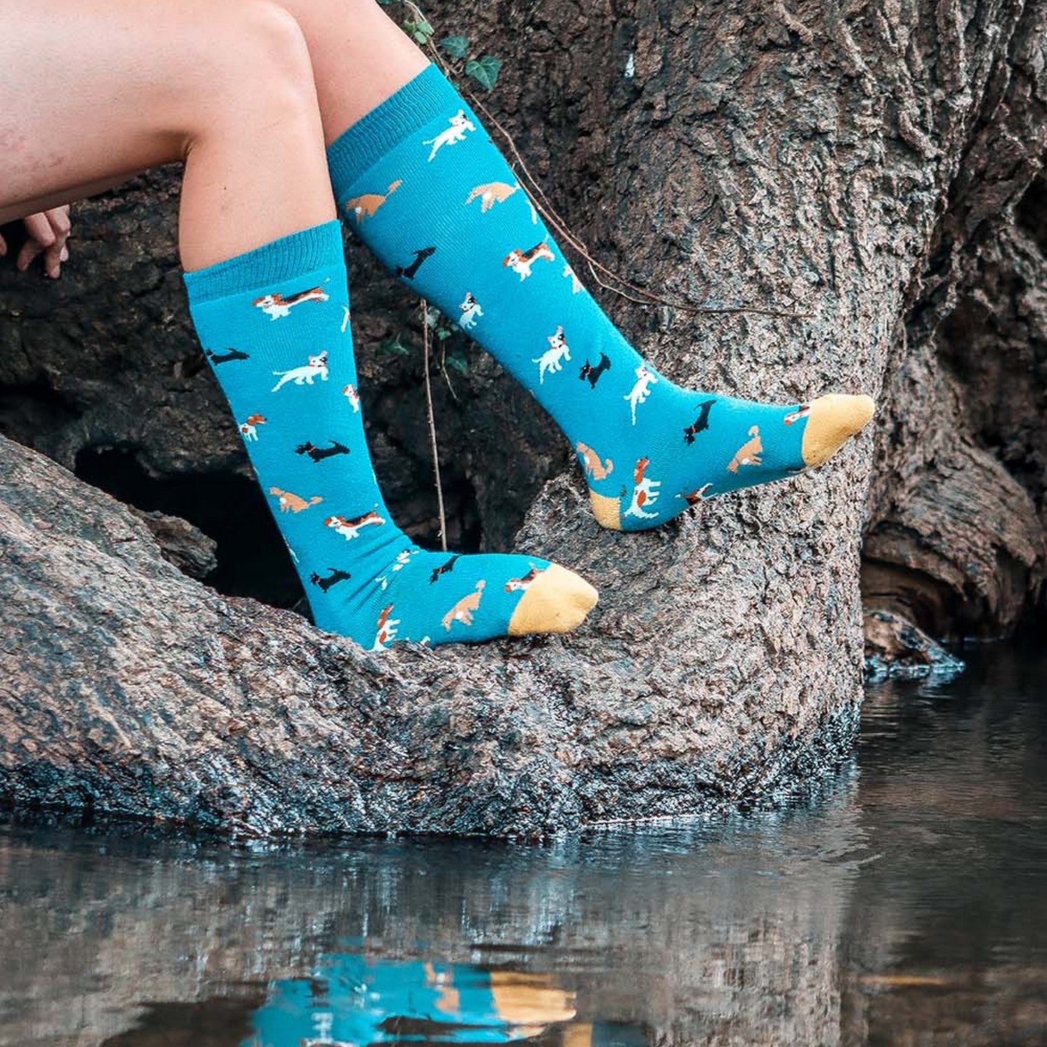 Bartleby Funky Welly Socks Ladies Doggy Diva
