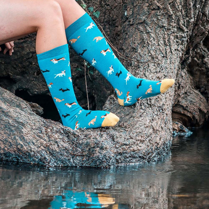 Bartleby Funky Welly Socks Ladies Doggy Diva