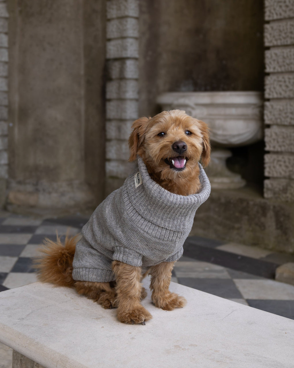 Oatmeal British Wool Dog Jumper