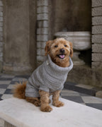 Oatmeal British Wool Dog Jumper