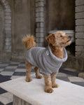 Oatmeal British Wool Dog Jumper