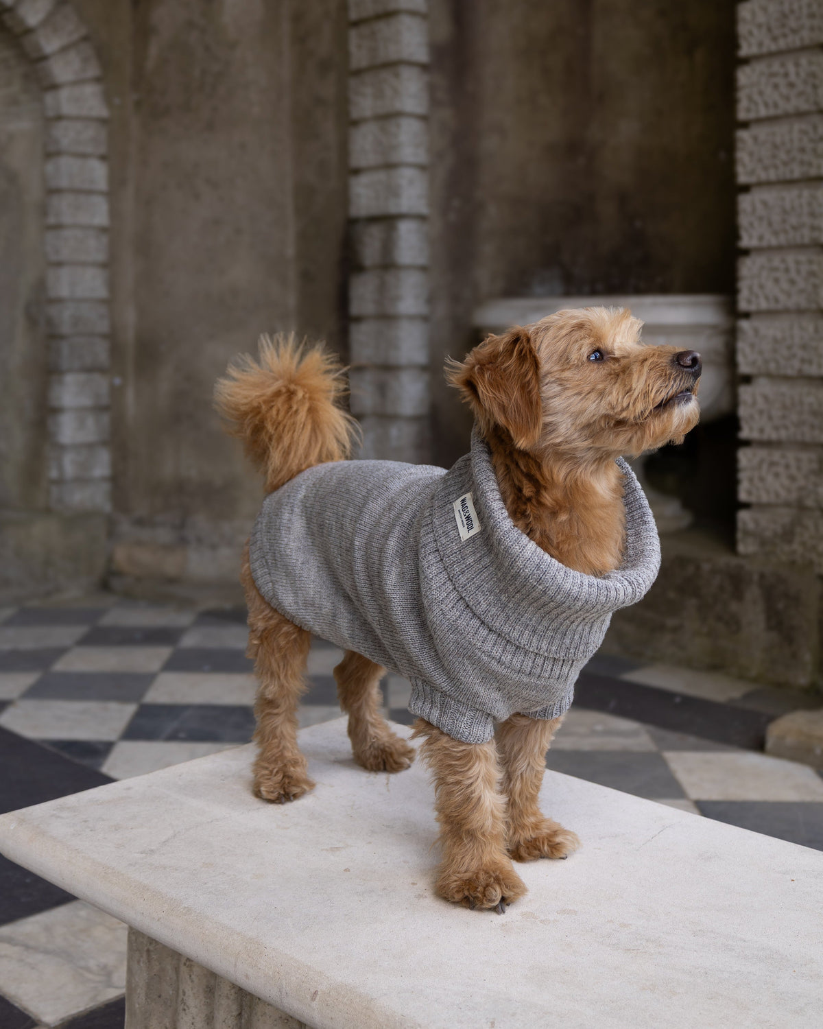 Oatmeal British Wool Dog Jumper