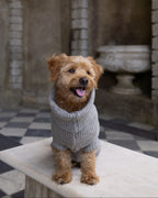 Oatmeal British Wool Dog Jumper