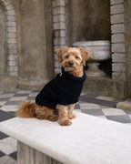 Black British Wool Dog Jumper
