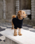 Black British Wool Dog Jumper