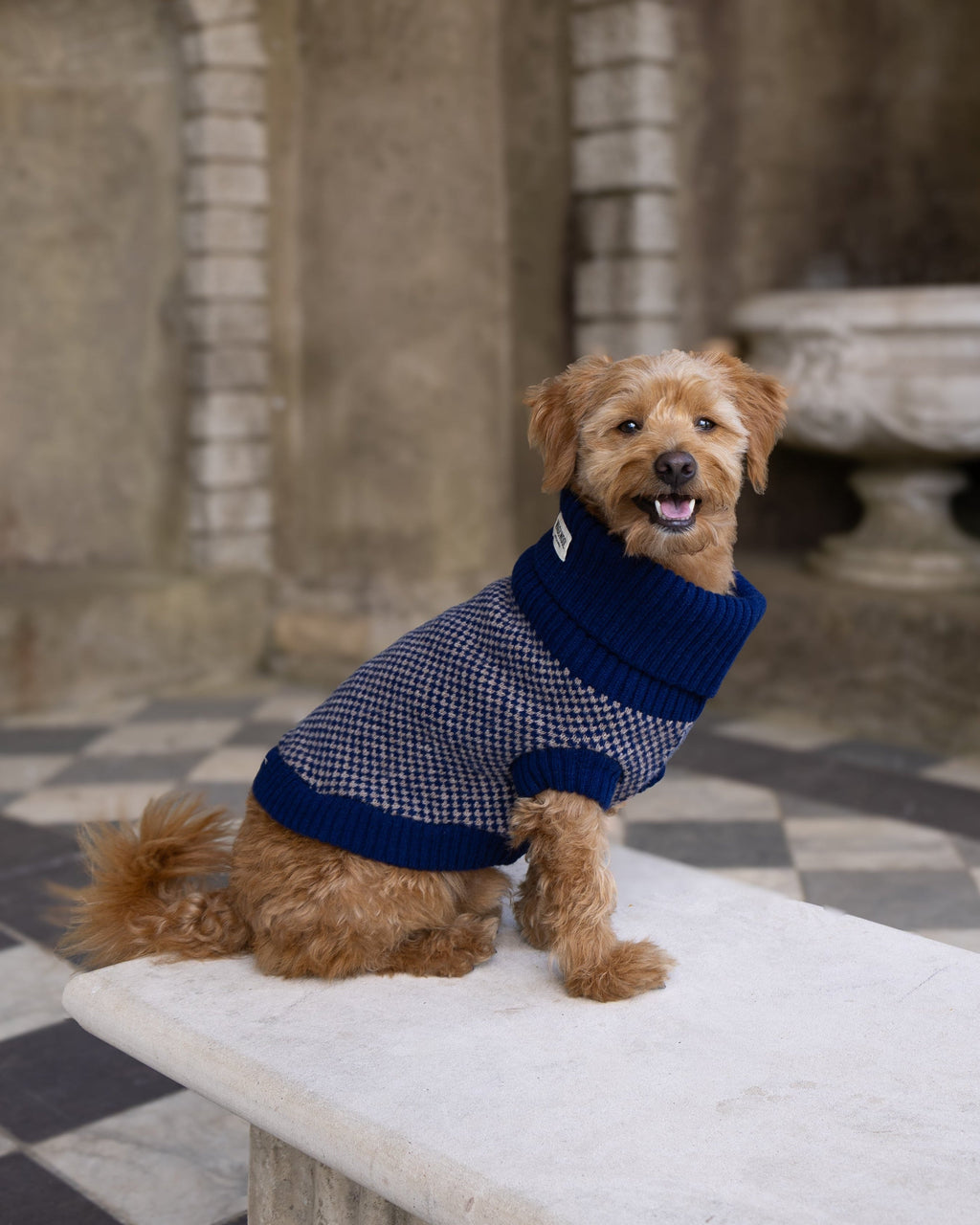 Navy Dog Jumper In Merino Lambswool