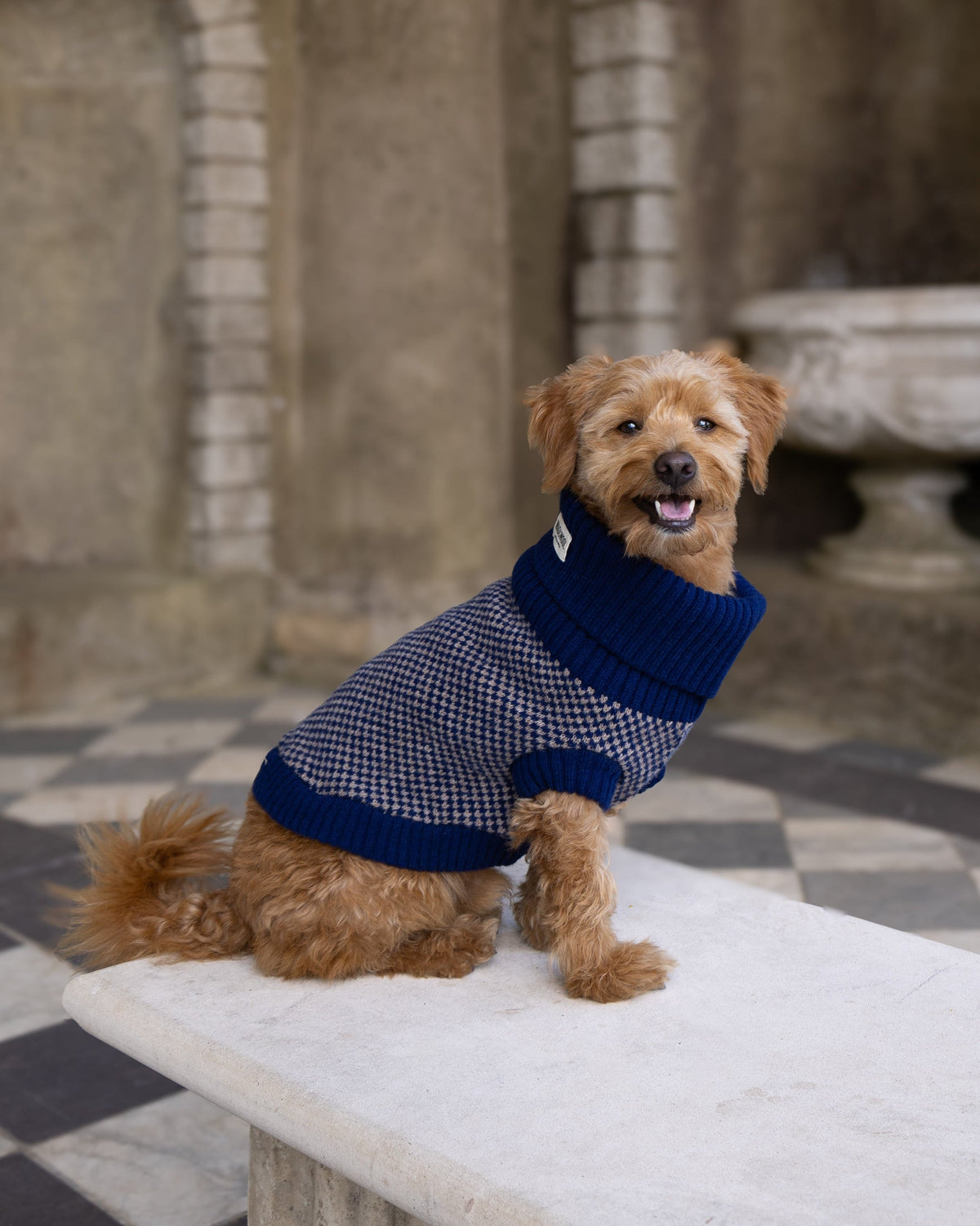 Navy Dog Jumper In Merino Lambswool