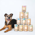 The Wellness Bundle
