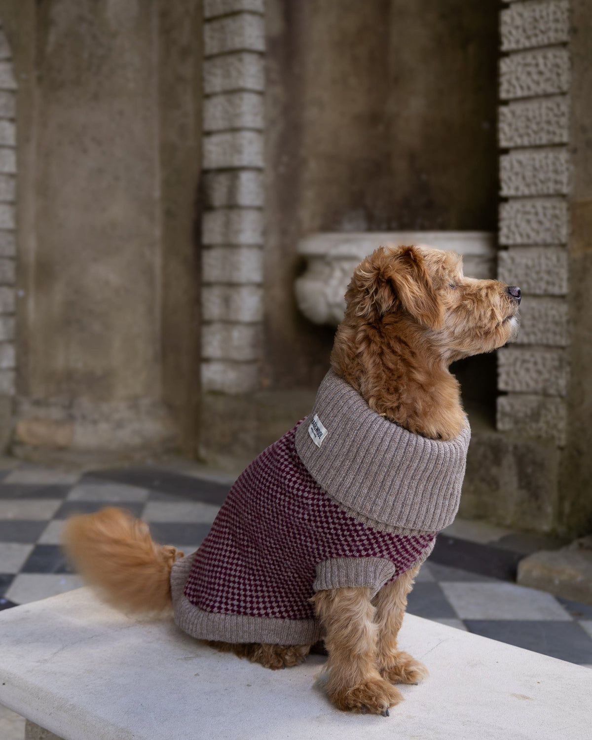 Burgundy Merino Lambswool Dog Jumper