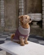 Burgundy Merino Lambswool Dog Jumper
