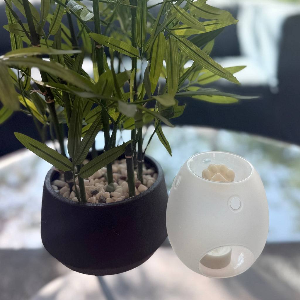 Goodbye Anxiety - Pet Friendly Wax Melts