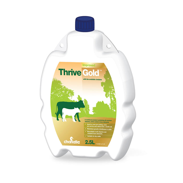 Chanelle Thrive Gold