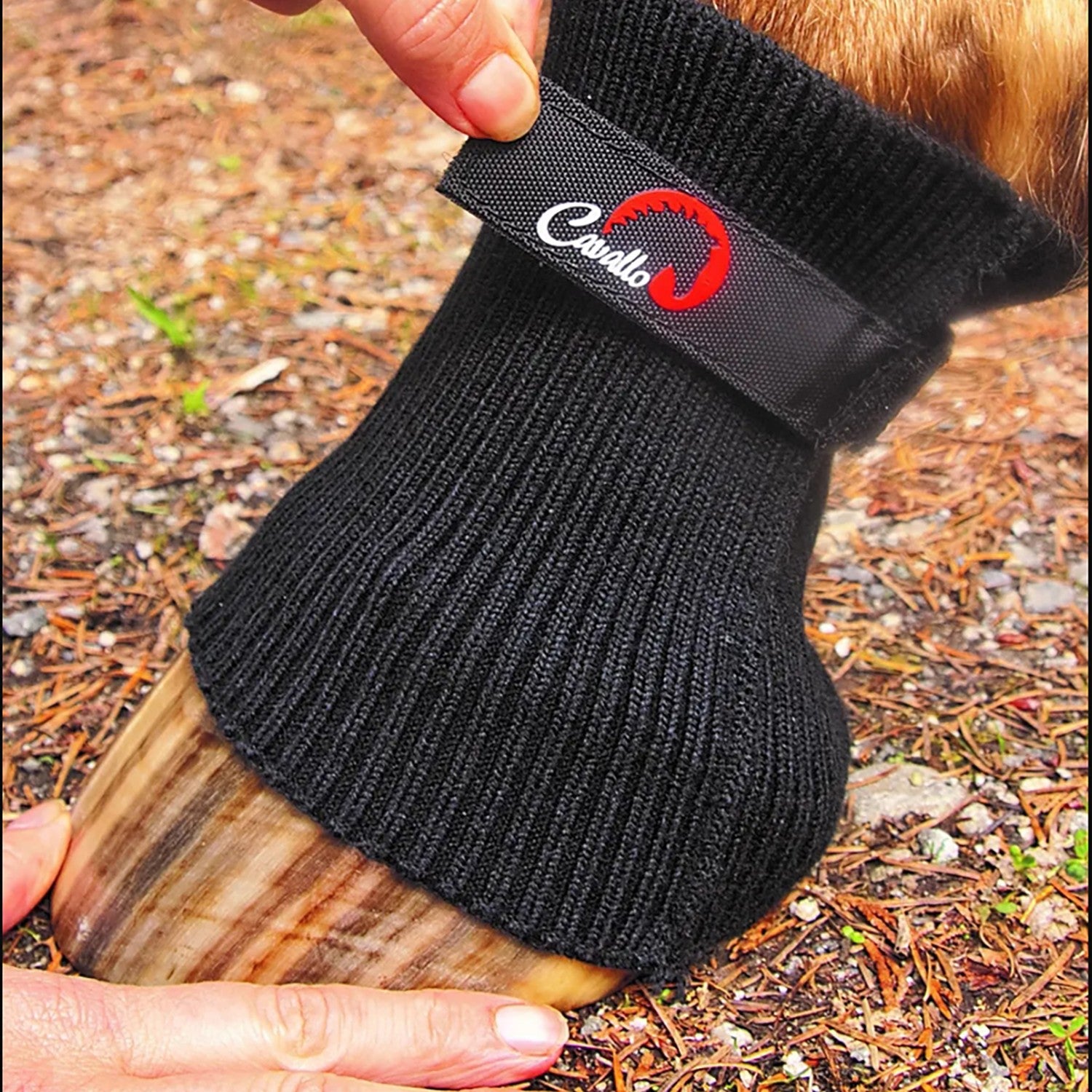 Cavallo Comfort Sleeve Black