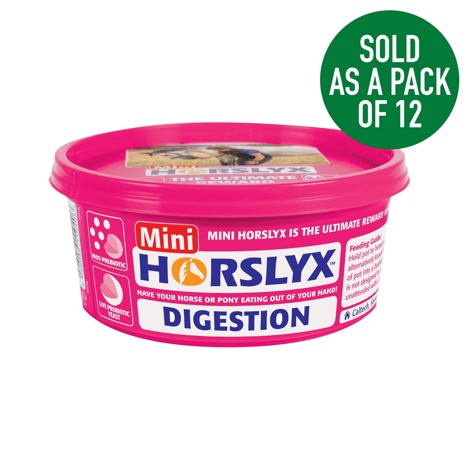 Horslyx Mini Licks Digestion