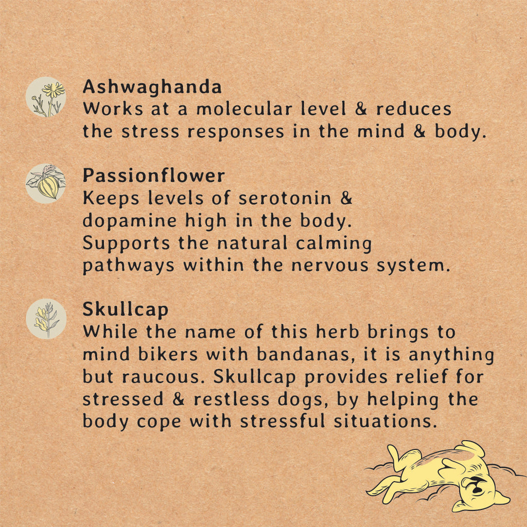 Calming Dog Treats
