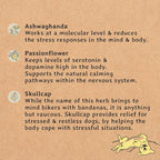 Calming Dog Treats
