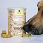 Calming Dog Treats