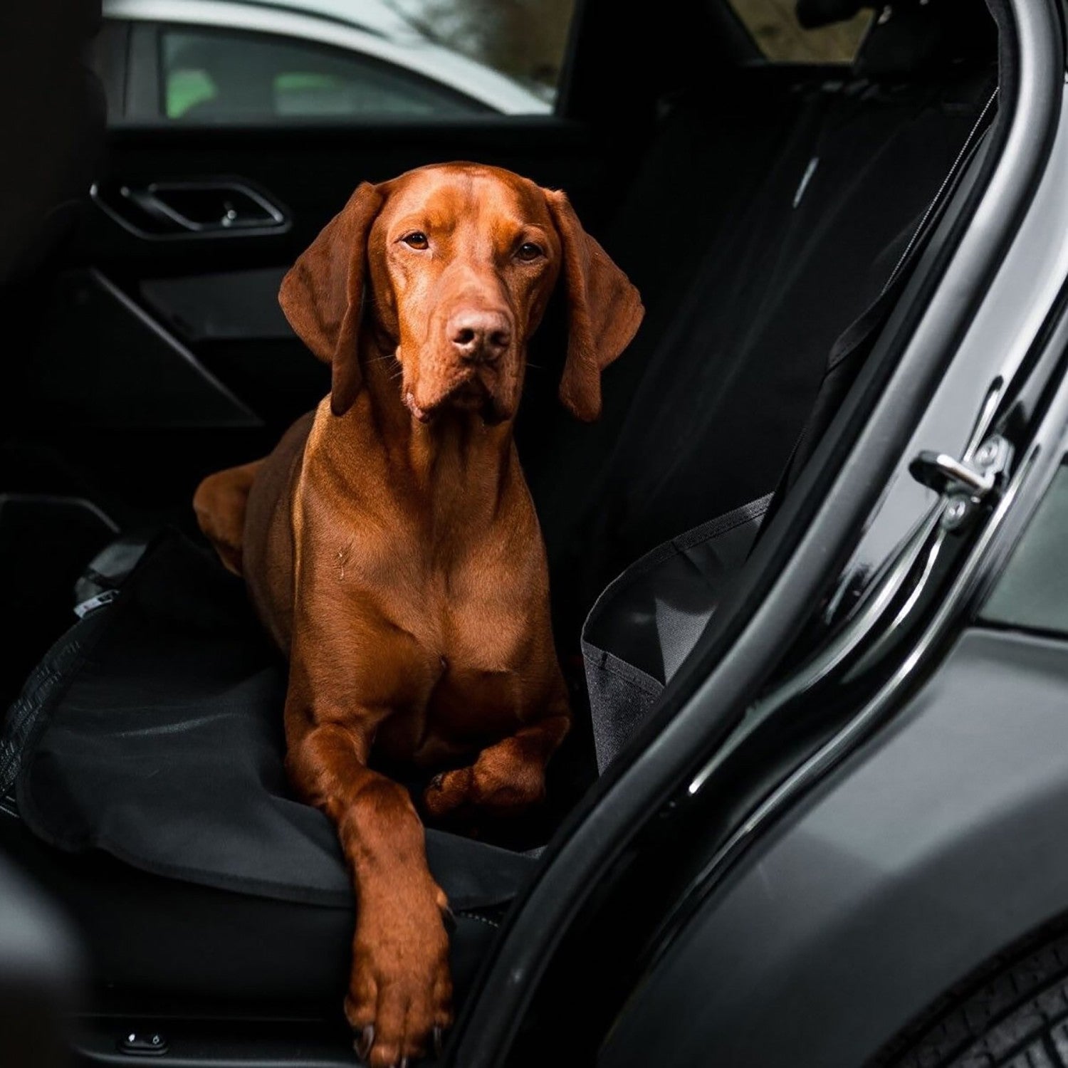Danish Design Car Seat Cover