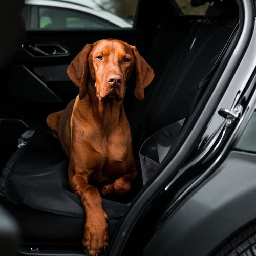 Danish Design Car Seat Cover