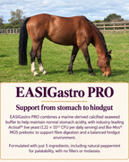 EASIGASTRO Pro