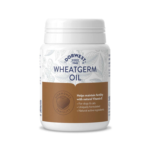 Dorwest Herbs Wheatgerm Oil for Dogs/cats