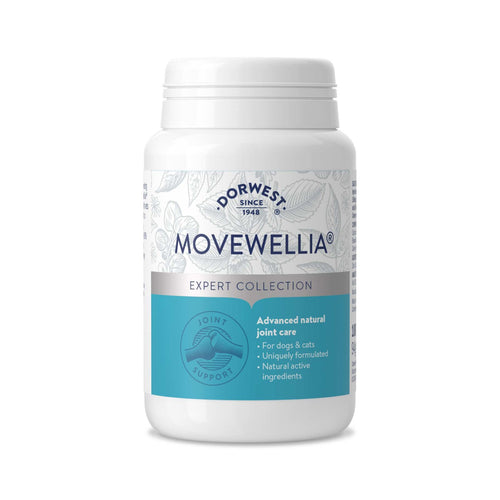 Dorwest Herbs Movewellia